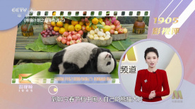 在海洋深处，巨大的巨齿鲨已经张开了血盆大口，准备将其一口吞下。